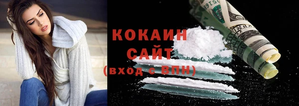 крисы Абаза