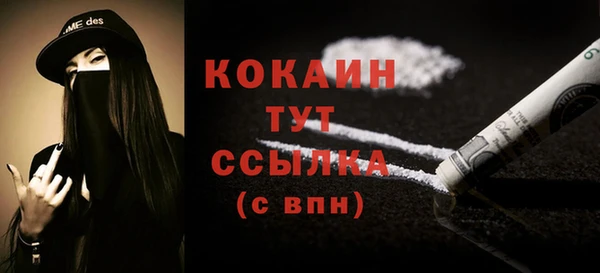 крисы Абаза