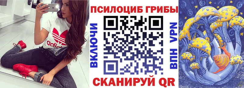 Галлюциногенные грибы Cubensis  Александров 
